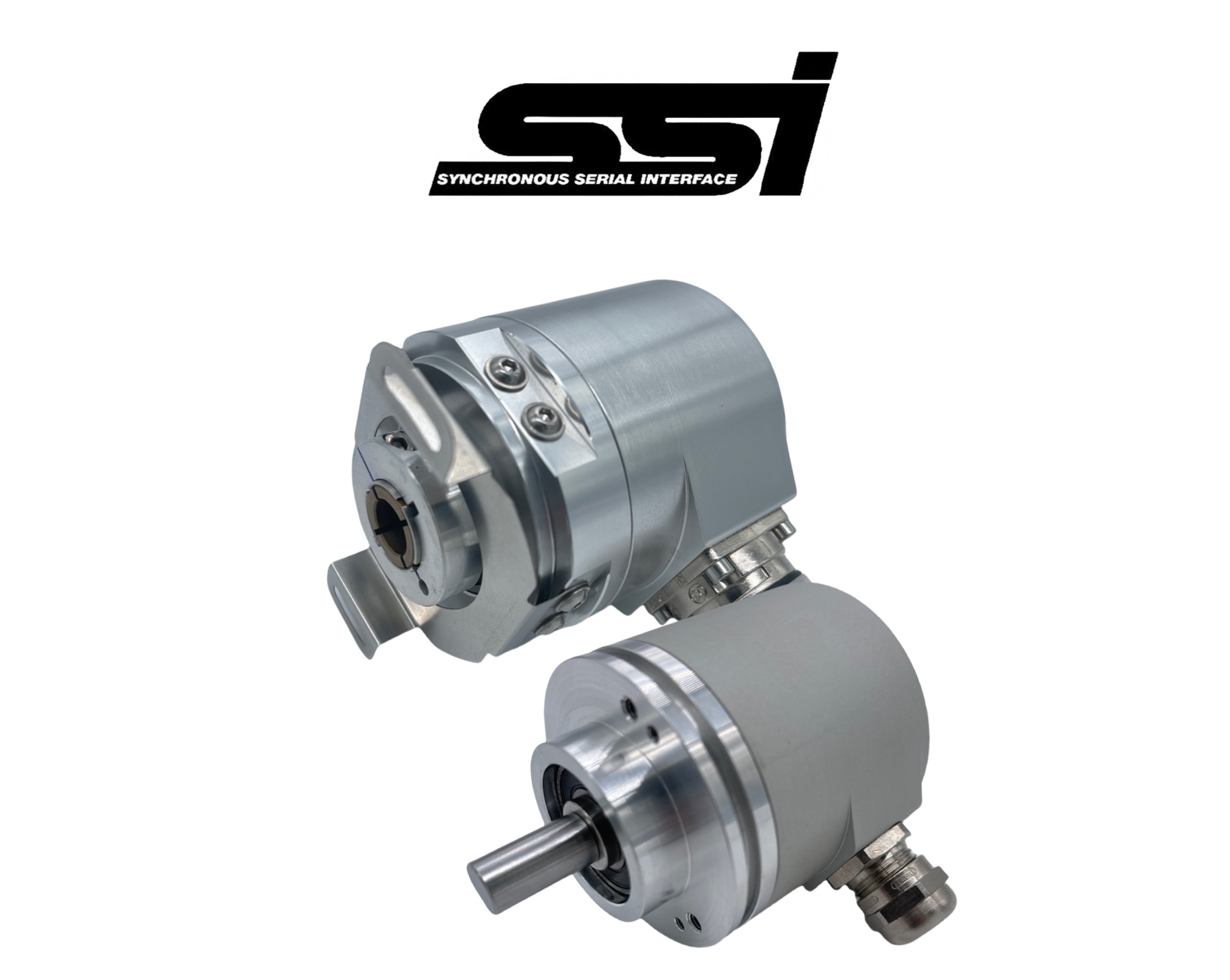 SSI-1.png
